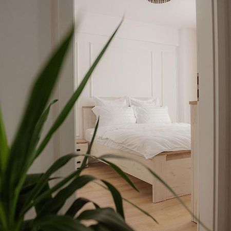 Modern Apartment In Timisoara Timişoara Exterior foto