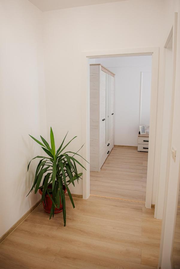 Modern Apartment In Timisoara Timişoara Exterior foto